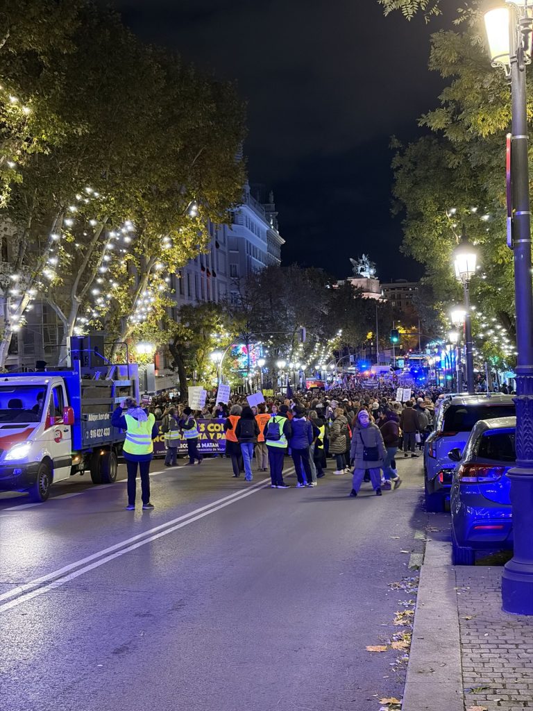 Fracaso y división feminista en la marcha de Madrid